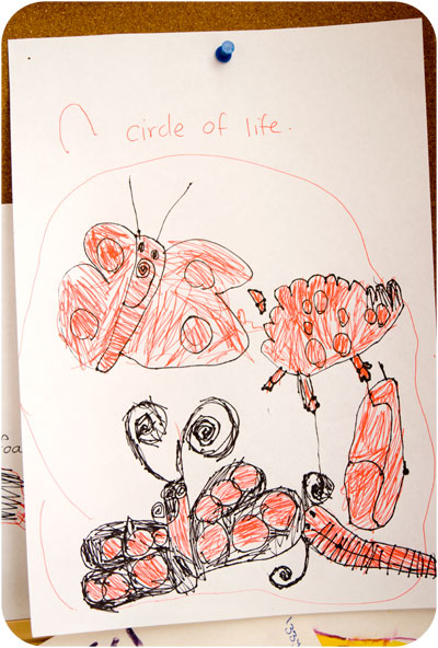 circle-of-life circle-of-life