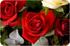 roses-tenth-anniversary