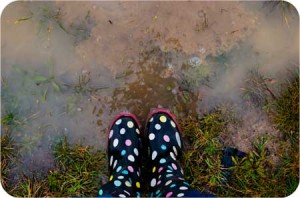 wandering_wednesday_rain