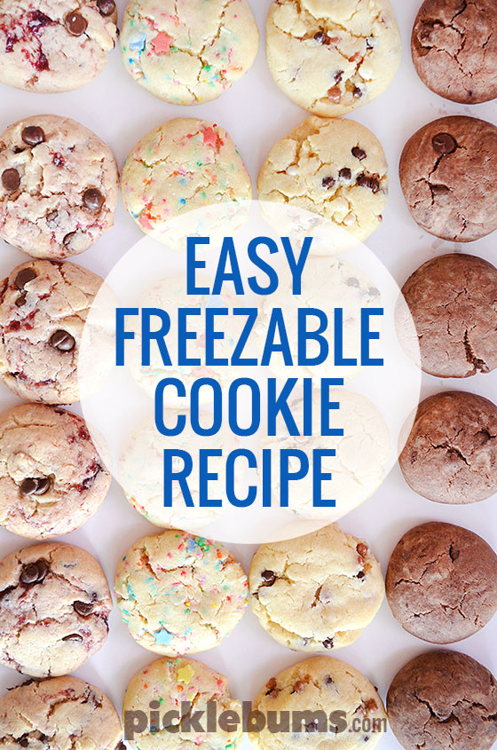 http://picklebums.com/wp-content/uploads/2015/09/freezable-cookies.jpg