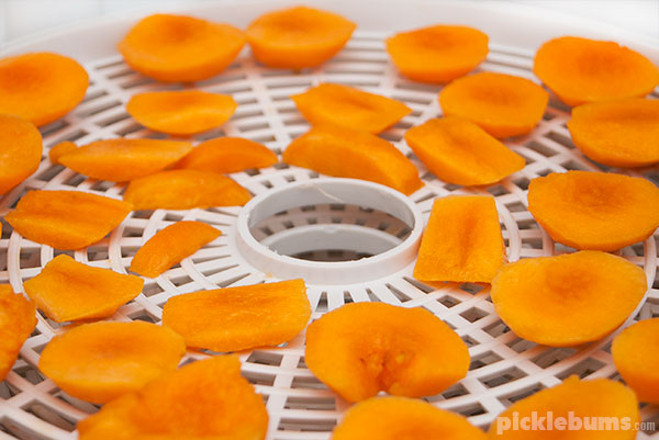 Apricots in the dehydrator