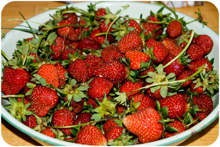 strawberries-09