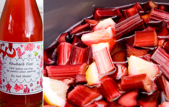 rhubarb fizz - a simple homemade fizzing drink! 