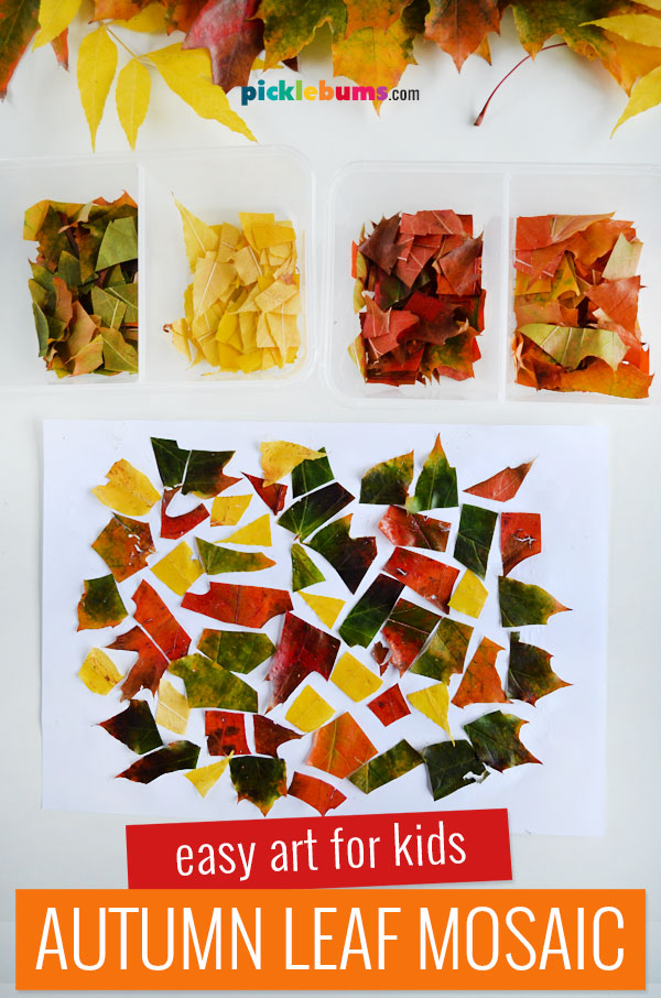Autumn leaf mosaic collage on white paper with containers of cut leaves and other leaves