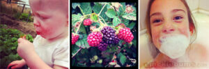 instagrams