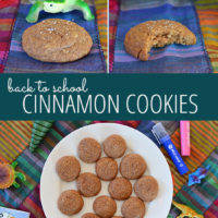 Cinnamon Cookies - a great lunch box treat.