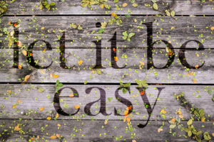 Let It Be Easy - sometimes we don't have to win, we don't have to be right, we can let it be easy.