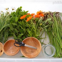 Snipping Flowers and Leaves - a fun way to practice scissor skills