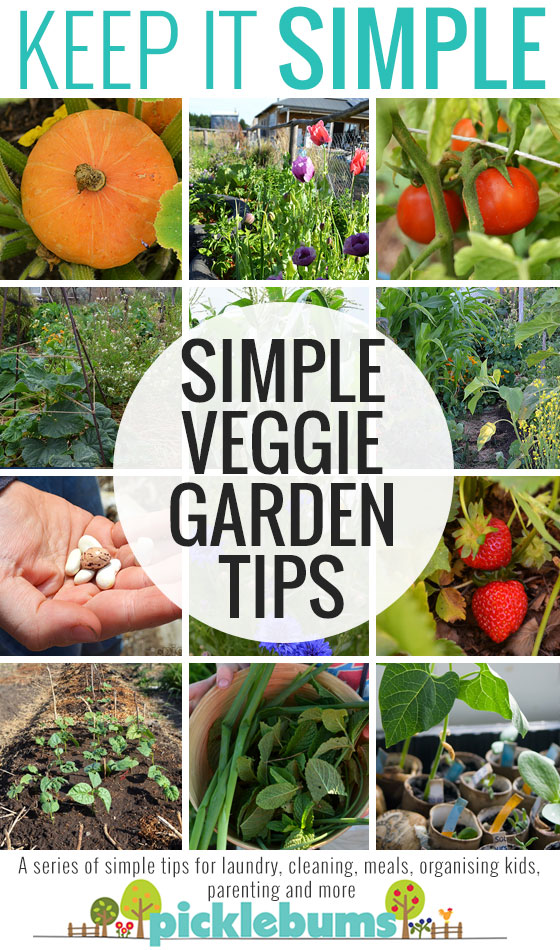 Simple tips for growing a great veggie garden... even if you don't have green thumbs or loads of time 