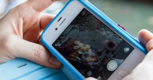 Ten things I want my tweens to know about social media