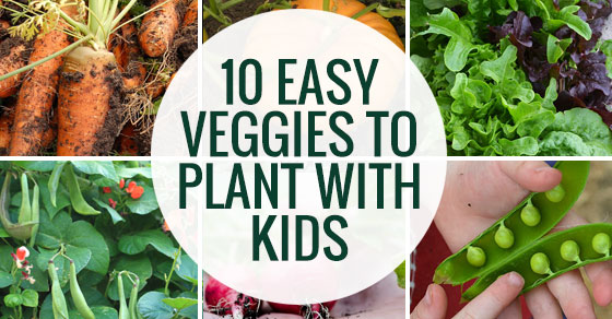 Ten easy veggies to grow with kids