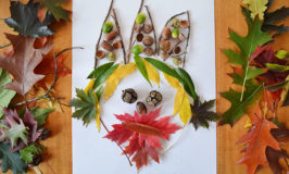 Leaf Faces - collect some natural materials and get creative making faces!