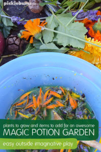 Magic Potion Gardens - what plants to grow and other awesome items to add to this fun outside imaginative play.