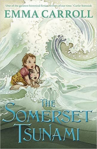 Book Cover - Somerset Tsunami