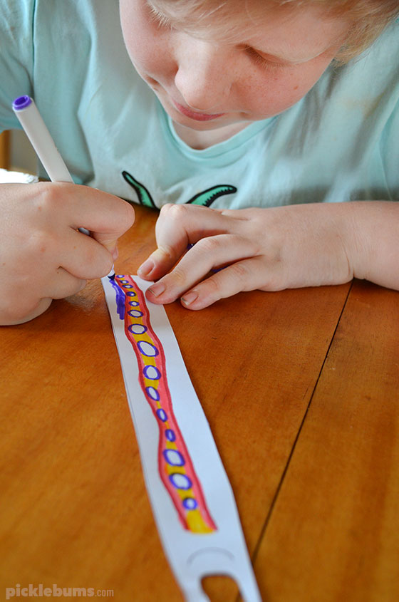 Colouring in the paper snail