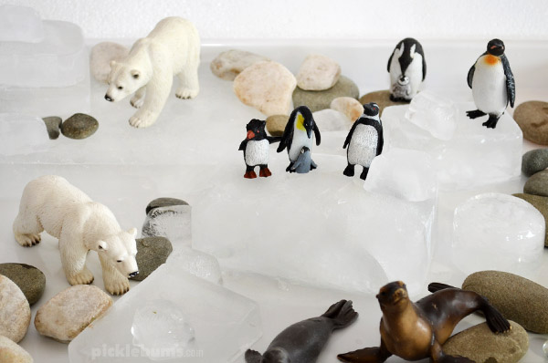 Polar Habitat Imaginative play - plus lots of books and craft ideas for the Arctic and Antarctic