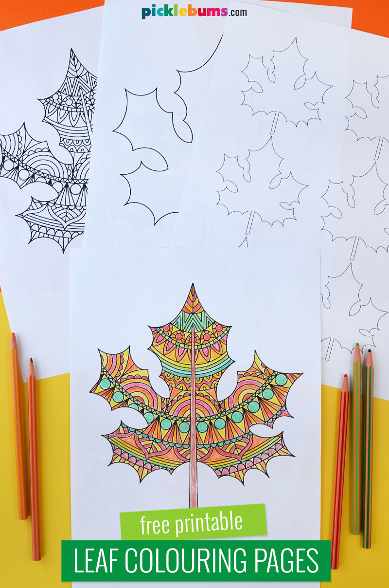 printable maple leaf colouring pages