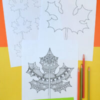 autumn leaf colouring pages on orange and yellow background