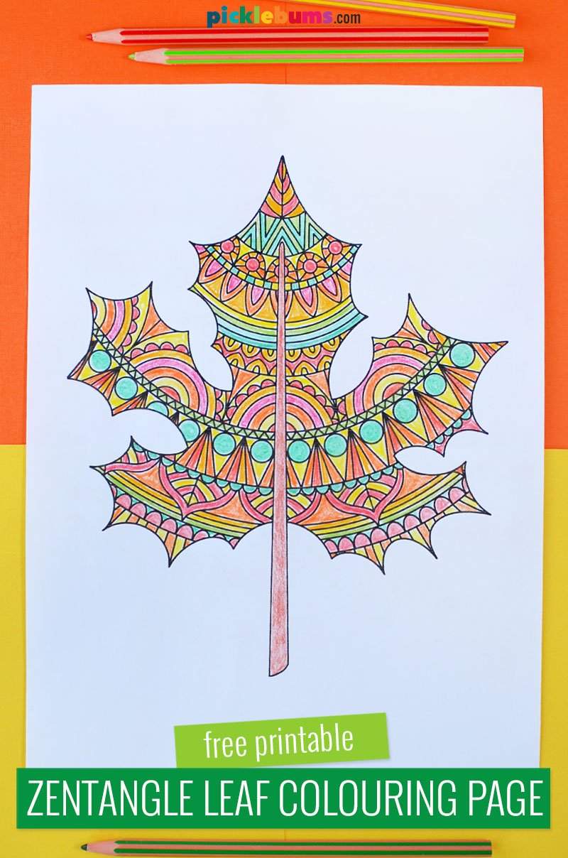 folha de zentangle para colorir