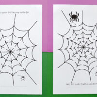two printed spider web mazes on a green and purple background