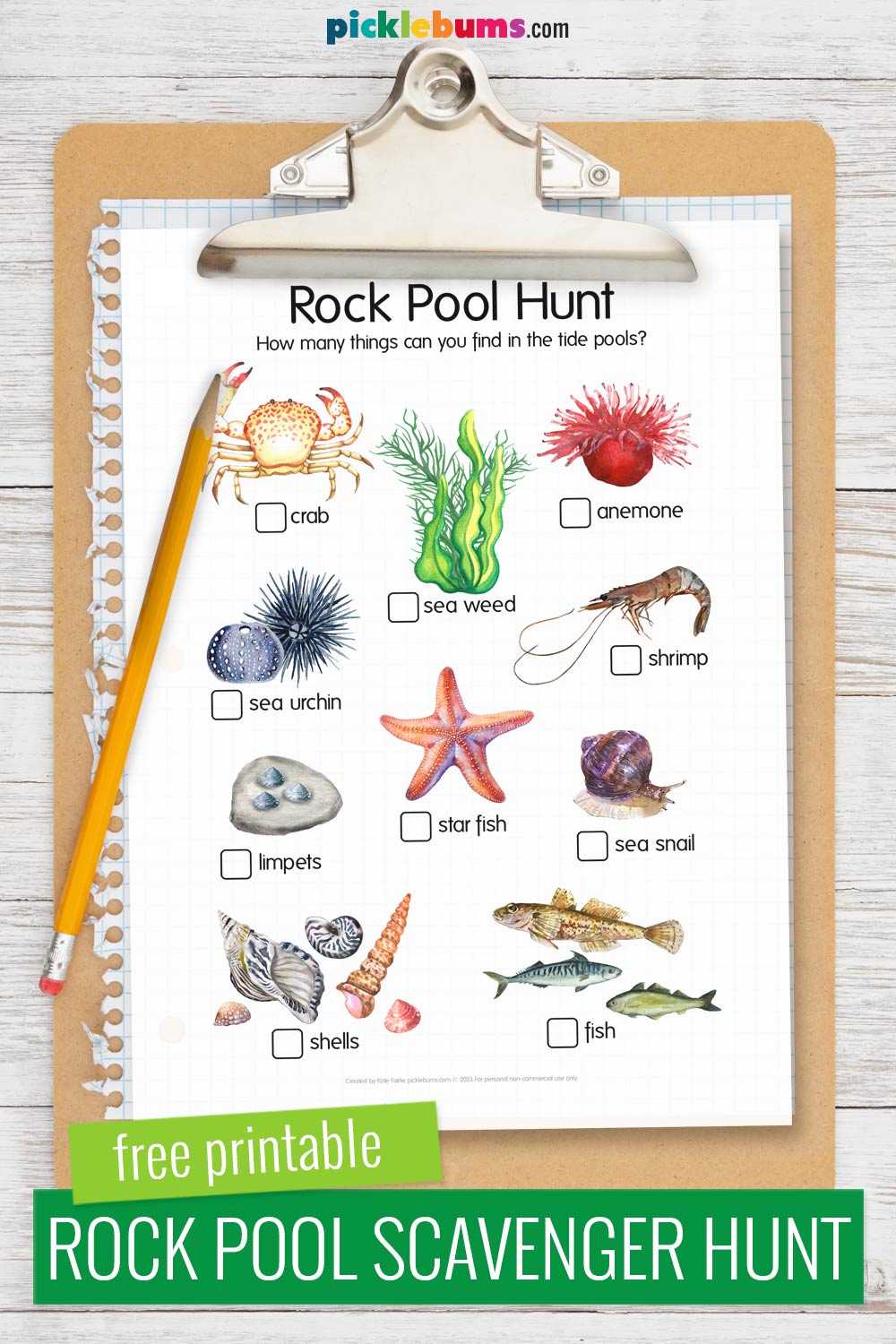 rock pool scavenger hunt printable