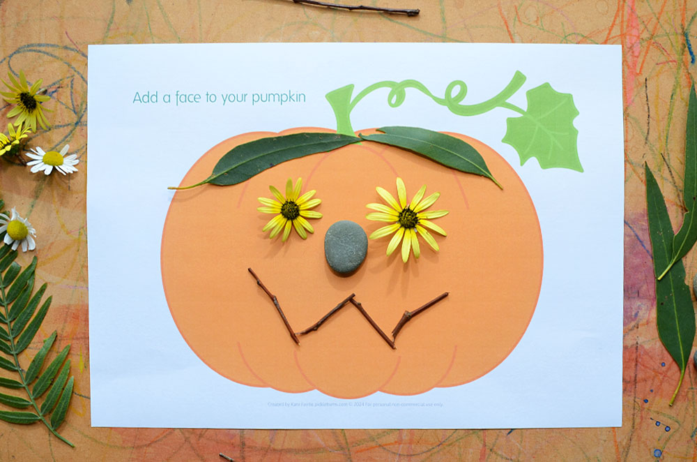 pumpkin face activity with natural materials