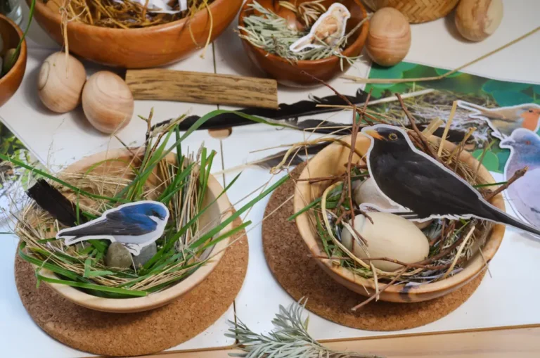 kid made bird's nests