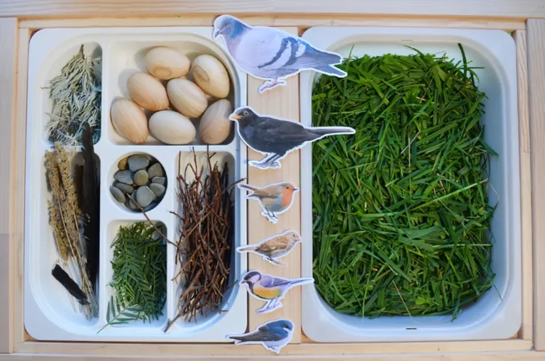 birds nest sensory bin set up