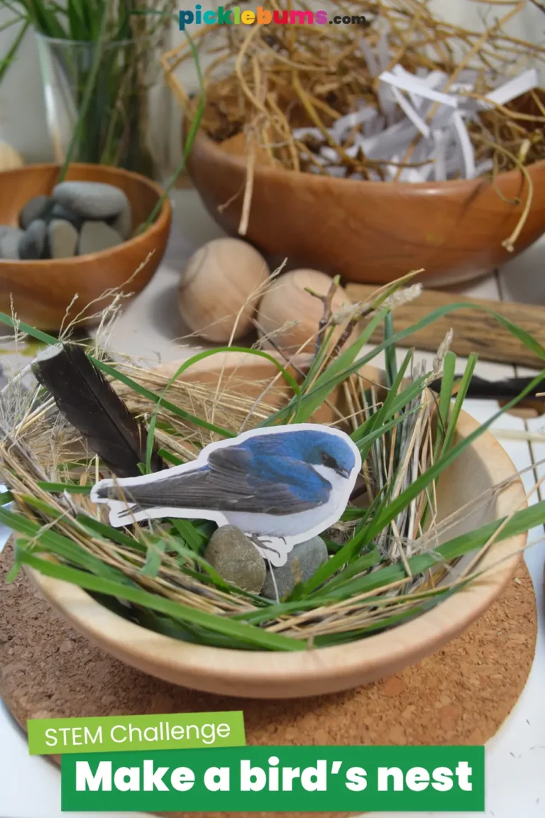 Make a birds nest stem challenge