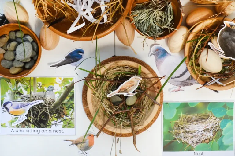 Build a birds nest activity