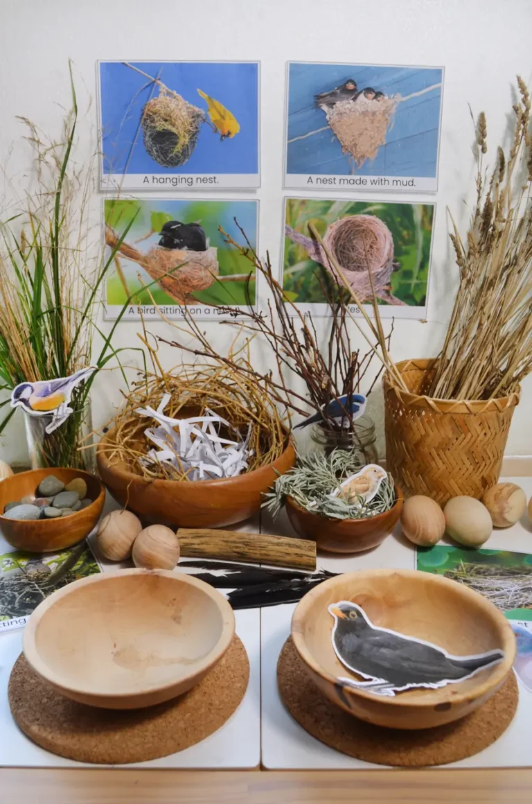 make a birds nest project supplies