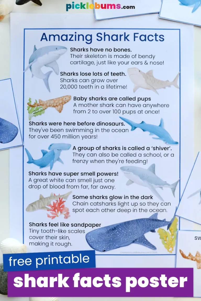 free printable sharks fact poster