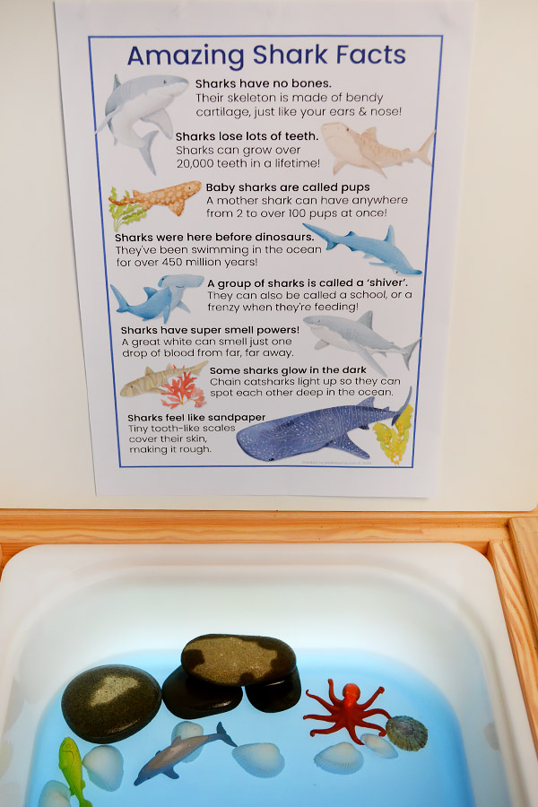 shark poster with sensory play